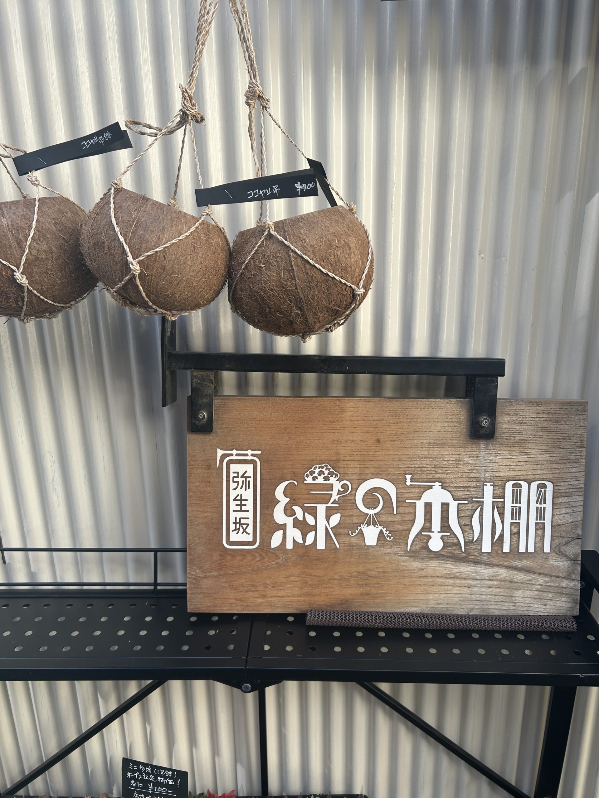古本と植物の店「弥生坂 緑の本棚」がリニューアル・オープン